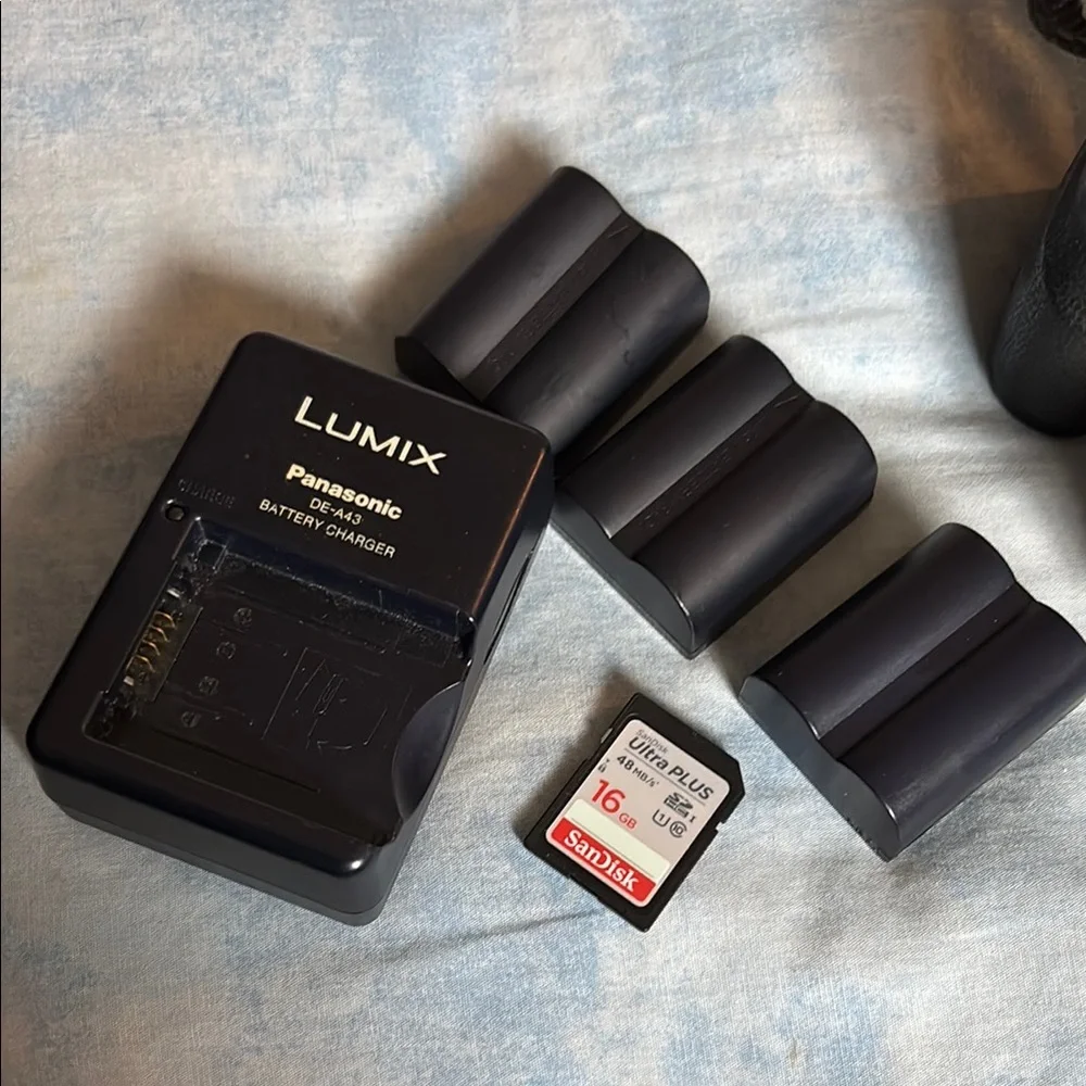 Panasonic Black Digital Camera with extra batteries and 16GB memory card